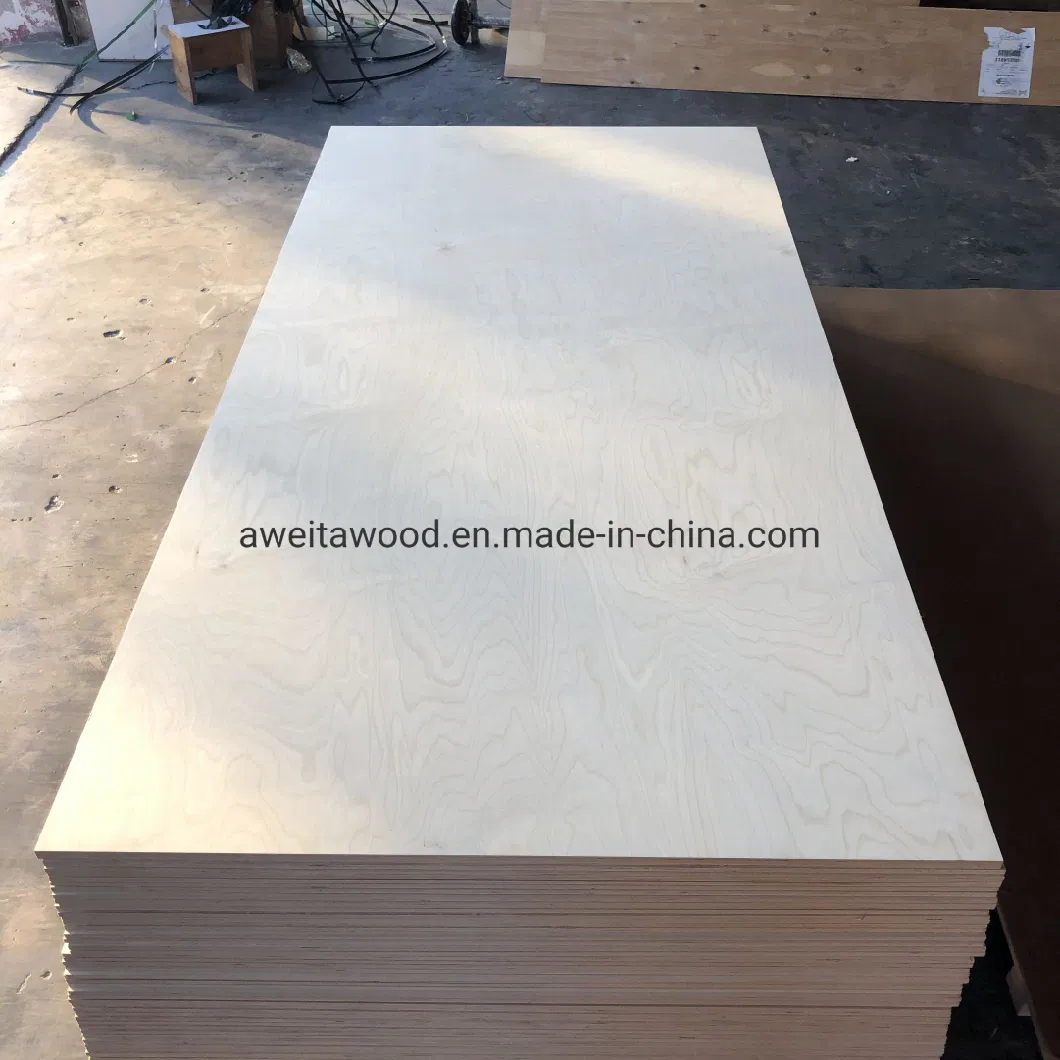 Baltic Birch Plywood Veneer Wood Sheet Birch Wood Ply Plywoods Melamine Laminated Plywood for Cabinets